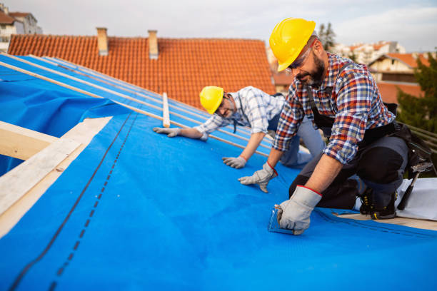 Best Roof Waterproofing Services  in Eton, GA